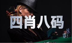 澳门材料24年寻宝图