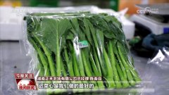 万象“耕”新进行时 蔬菜抢“鲜”7小时从湖南中