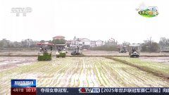 <b>让麦田喝上“伶俐水”、百合种植新手艺……清</b>