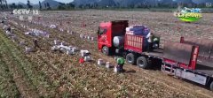 聪慧农业撑起农户“荷包子” 农产物实现从“量